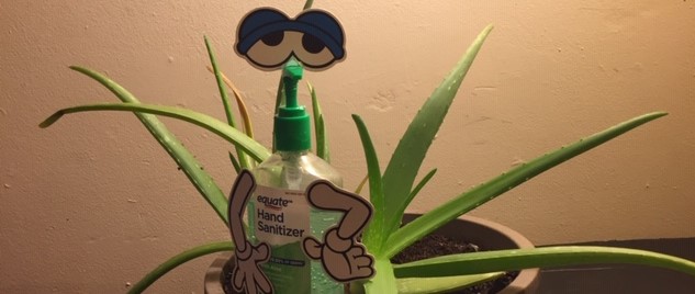 aloe